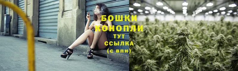 Шишки марихуана White Widow  Богданович 